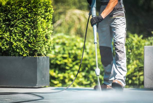Best Sidewalk and Walkway Cleaning  in Hampstead, MD