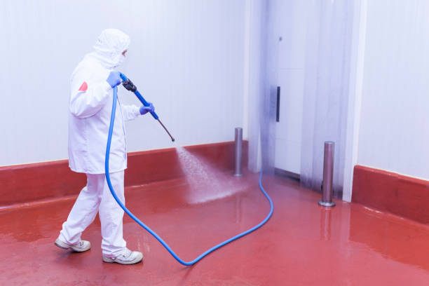 Best Driveway Pressure Washing  in Hampstead, MD