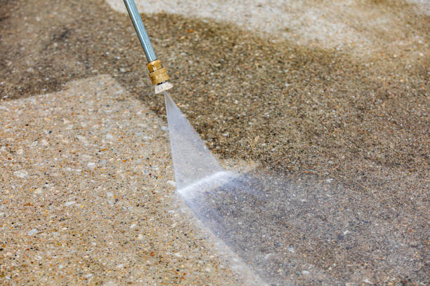Best Animal Enclosure Cleaning  in Hampstead, MD